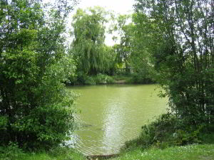 Colton Lake, Part of the Barford Lakes Complex