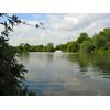 Match Lake Peg 14 Looking back down the lake