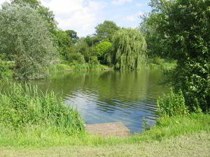 Views of the Match Lake