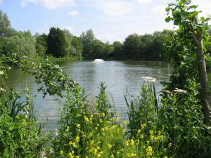 Match Lake at Barford Lakes