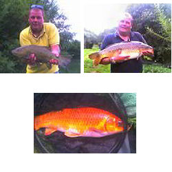 Malcolm Joyce - 17lb Carp from the Pleasure Lake and an elusive 10lb Koi