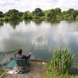 Les Palmer Flying Bream 07.07