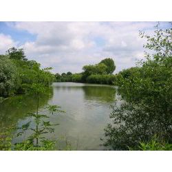 Colton Lake View News