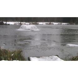 2010 January Match Lake 1n