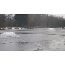 2010 January Match Lake