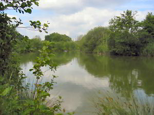 Views of Railway Lake