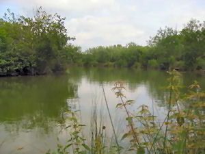 Railway Lake, Part of the Barford Lakes Complex