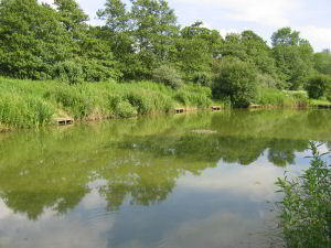 Training Lake at Barford Lakes